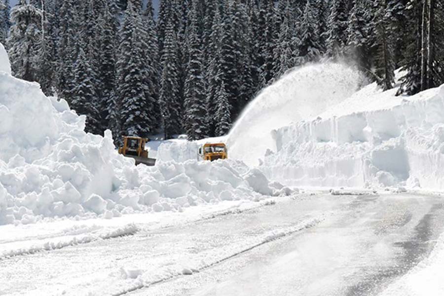 All you need to know about Polar Vortex