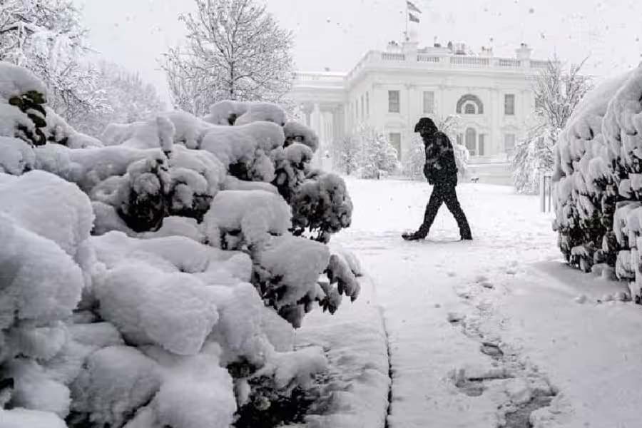 All you need to know about Polar Vortex