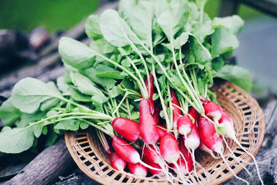 Radish Leaves