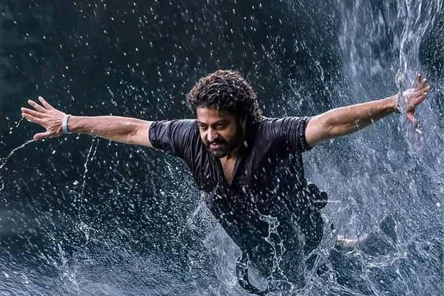 From Prabhas to Shah Rukh Khan, movies of actors may hit in box office in 2026