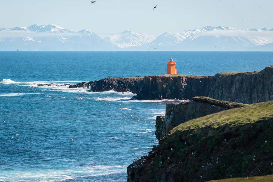 Grimsey Island Europe’s most isolated communities and a flourishing seabird population