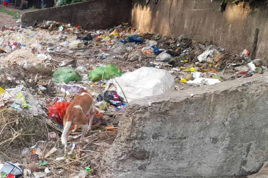 Heaps of Garbace resulting in pollution at Falakata of Alipurduar