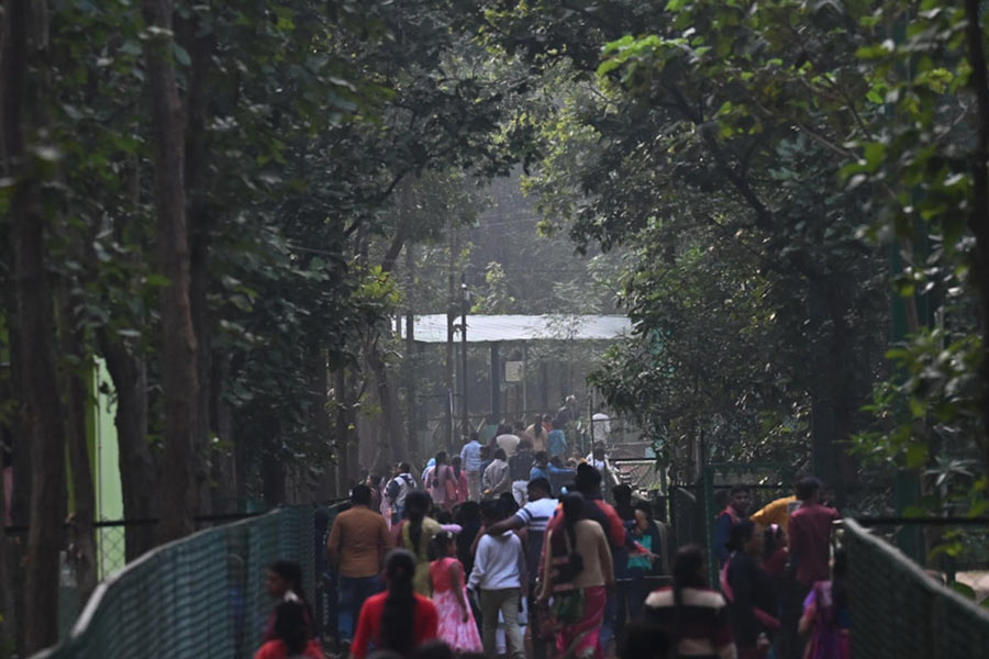 Crowd was seen in Jhargram on Christmas