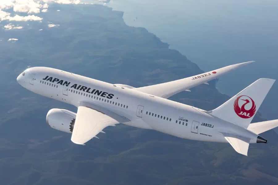 Cyber attack on Japan airlines, services interrupted dgtl