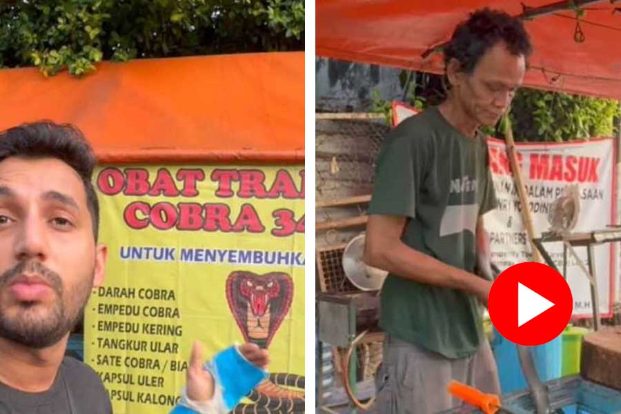 Video of people of Jakarta eating cobra goes Viral