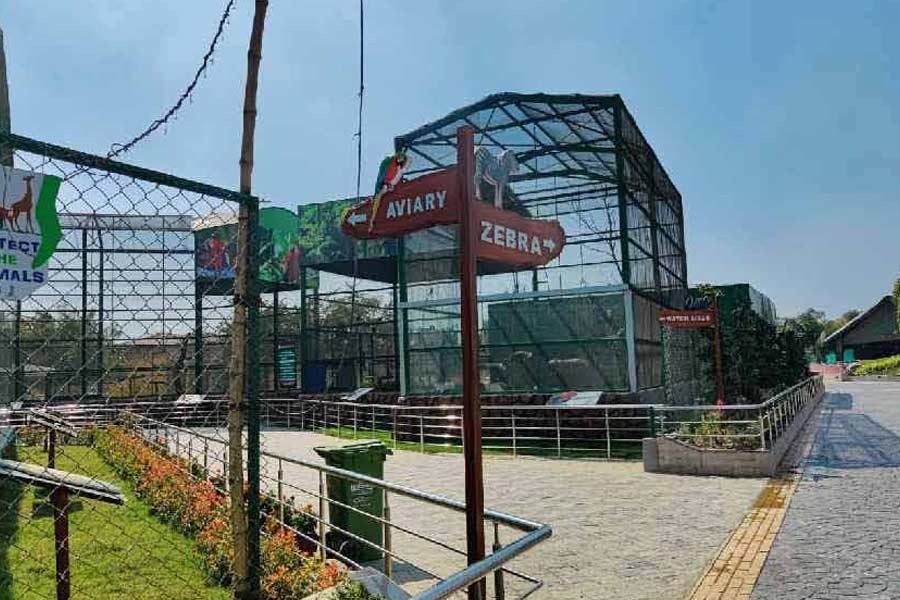 নিউটাউনের হরিণালয় ঘুরে নিতে পারেন এই শীতে।