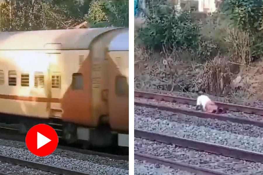 Kerala man survives narrow escape after lying on tracks as train goes above him, video goes viral