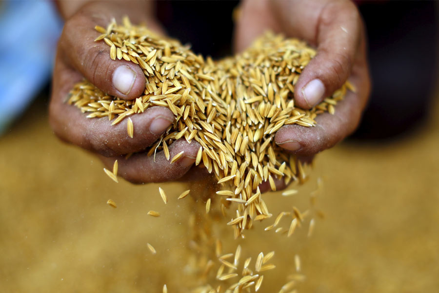 India reaches European court over Basmati origin feud with Pakistan