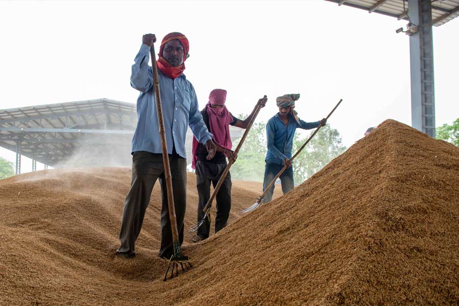 India reaches European court over Basmati origin feud with Pakistan