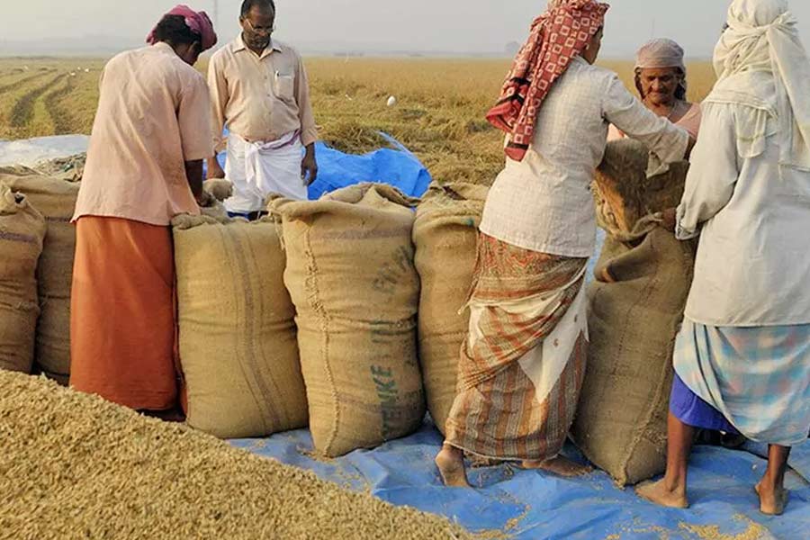 India reaches European court over Basmati origin feud with Pakistan