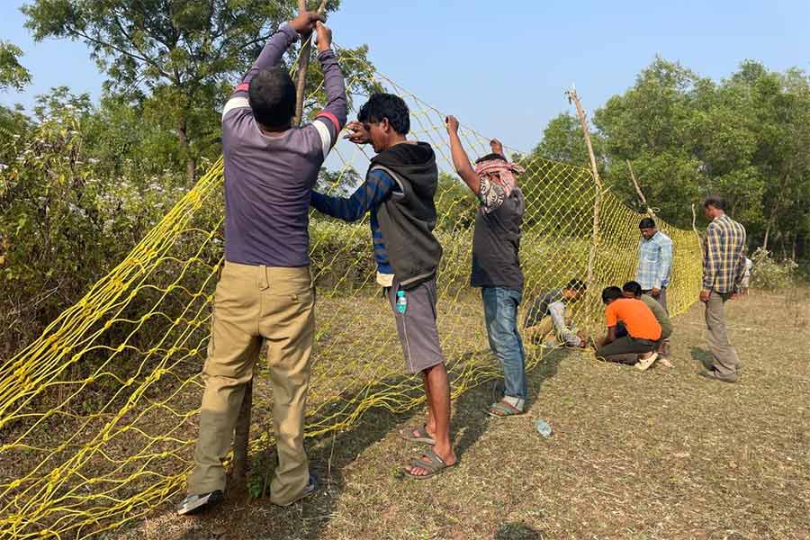 বোরোর পাইসাগোড়ায় জাল টাঙানোর কাজ চলছে।