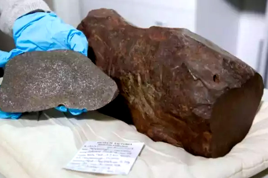 Man found a heavy rock brought it to the museum, turns out meteorite