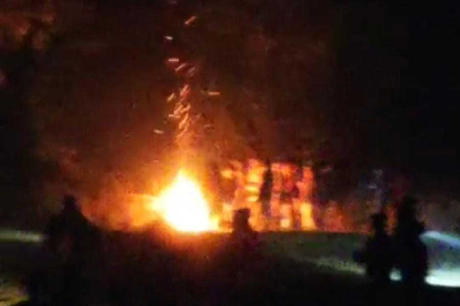 জঙ্গলে আগুন জ্বালিয়ে জ়িনতকে খাঁচাবন্দি করার চেষ্টা।