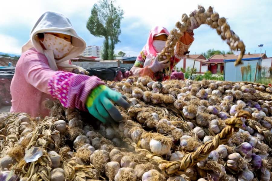 All need to know about current situation of China Economy and current fall in real estate business 