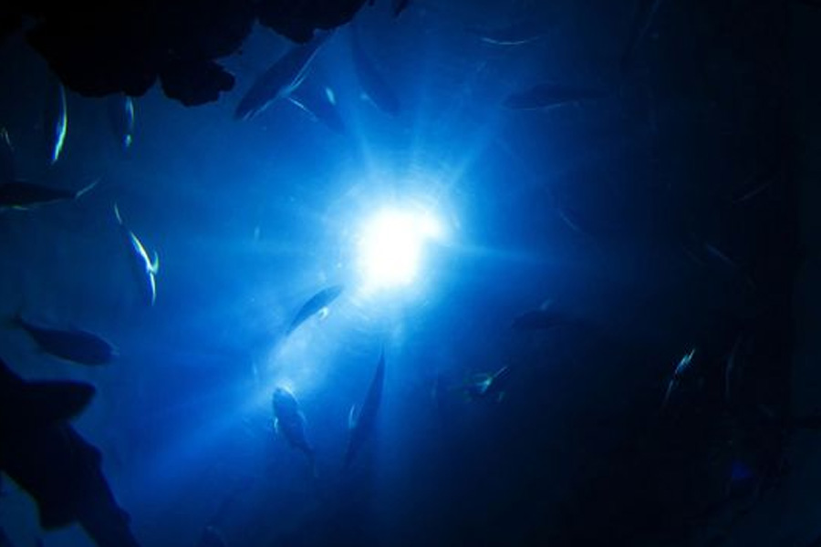 Europa Clipper will exploring Europa, the icy moon of Jupiter in search for any traces of alien life 