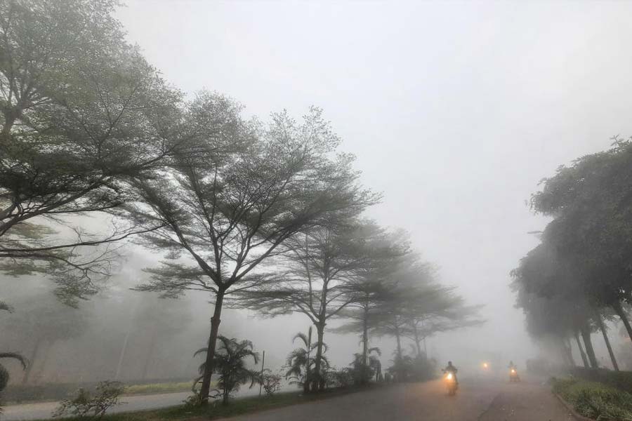 Temperature to fall by 2 to 3 degrees on New Years Eve fog alert in several districts dgtl