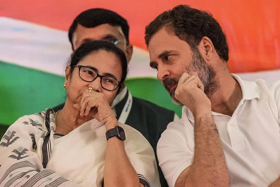 Mamata Banerjee and rahul gandhi.