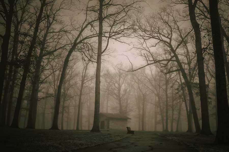 মুসৌরির স্বনামধন্য ব্যক্তিদের মধ্যে অন্যতম ছিলেন ফ্রেডেরিক। উত্তরাখণ্ডে যাওয়ার পর মুল্লিঙ্গর ম্যানসন নামে মুসৌরিতে নিজের বাড়ি তৈরি করেছিলেন তিনি।