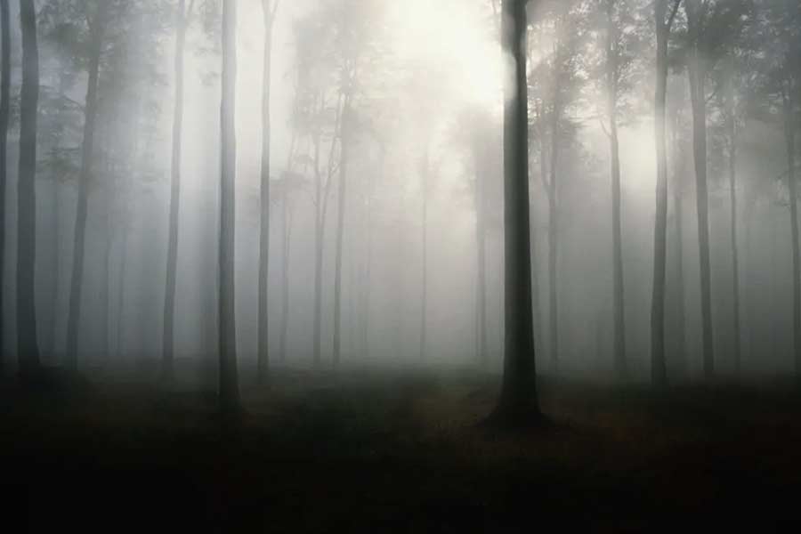 লোকমুখে শোনা যায়, কর্মজীবনের শেষ পর্যায়ে আয়ারল্যান্ড ফিরে যান ফ্রেডেরিক। সেখানেই মৃত্যু হয় তাঁর। তবে এই কথা অস্বীকার করেন স্থানীয়দের একাংশ।