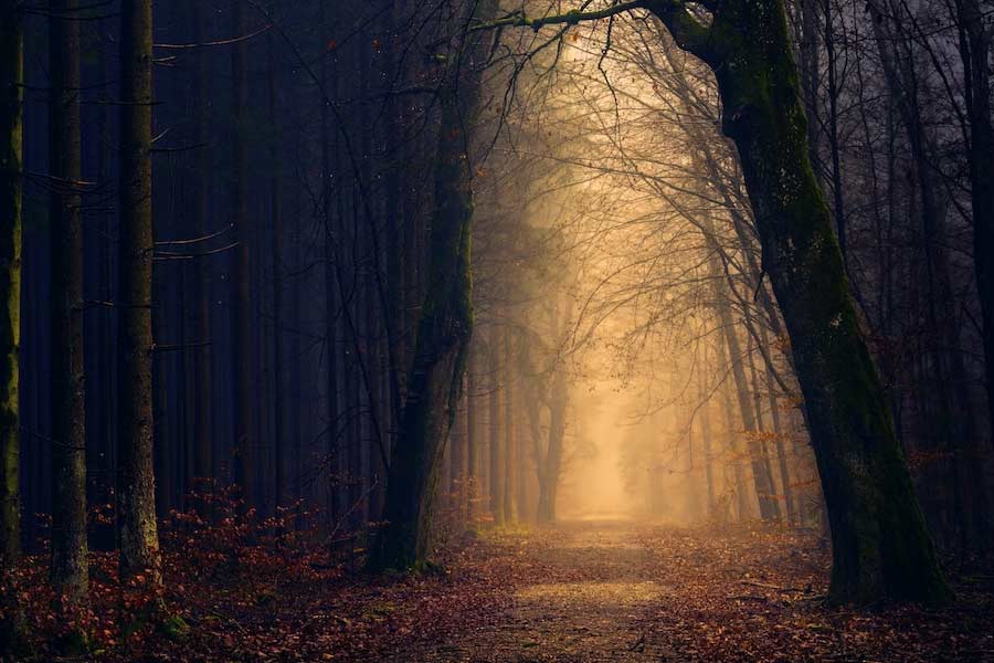 মুল্লিঙ্গর ম্যানসন প্রিয় হওয়ার কারণে মৃত্যুর পরে ফ্রেডেরিকের আত্মা ঘুরে বেড়ায় সেখানে। কানাঘুষো শোনা যায়, বাড়ির ভিতরেই শুধু নয়, বাগানেও নাকি তাঁর প্রিয় ঘোড়ায় চড়ে ঘোরাফেরা করেন তিনি। তবে এই ঘটনার সত্যতা কতটা, সে বিষয়ে এখনও কিছু স্পষ্ট জানা যায়নি।