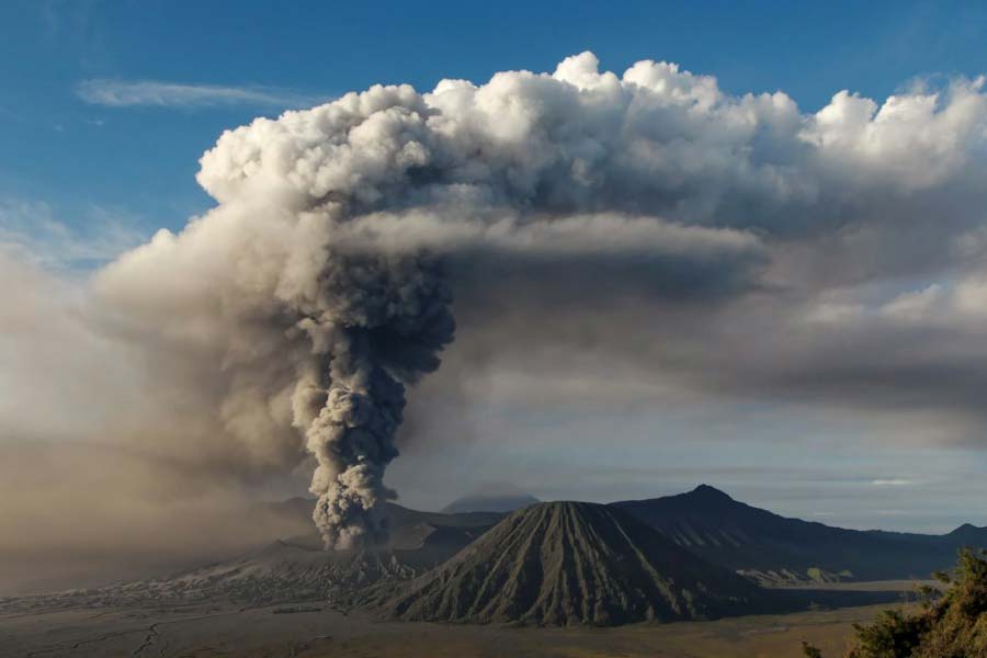 Death toll in Chile forest fire reaches to more than hundred, many people become homeless 