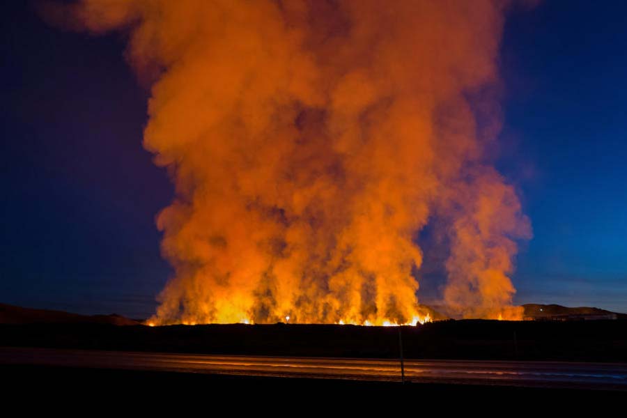Death toll in Chile forest fire reaches to more than hundred, many people become homeless 