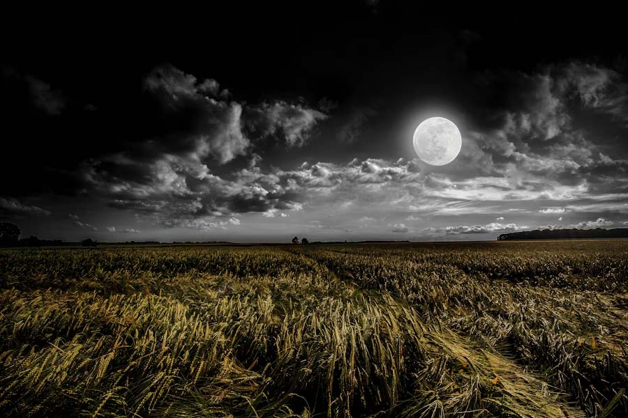 Because of thrust faults and shrinking moonquake happens in lunar south pole dgtl