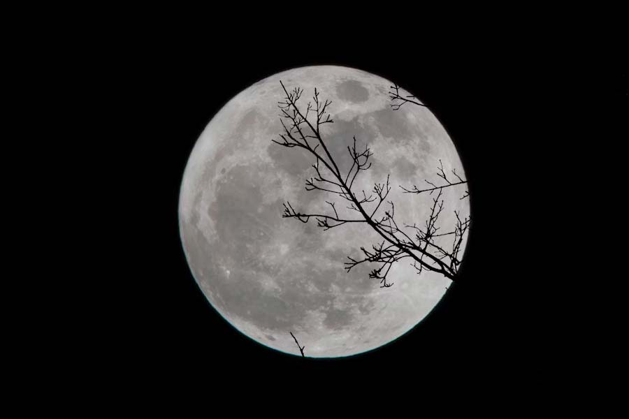 Because of thrust faults and shrinking moonquake happens in lunar south pole dgtl