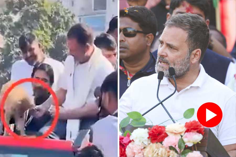 BJP Alleges Rahul Gandhi Gave Biscuit from Dog\\\\\\\\\\\\\\\'s Plate to Congress Leader