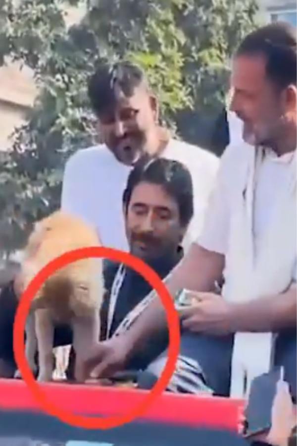 তাঁদের মধ্যে ছিল একটি কুকুরও। তার সামনে রাখা বিস্কুটের প্লেট। ওয়েনাড়ের কংগ্রেস সাংসদ সেই কুকুরকে প্যাকেট থেকে বিস্কুট খাওয়ানোর চেষ্টা করছেন, কিন্তু কুকুরটি তা খেতে চাইছে না।