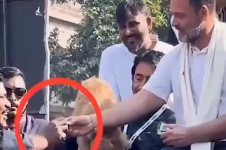 মাথা নেড়ে মুখ ফিরিয়ে নেয়। তখন সেই বিস্কুটই গাড়িতে থাকা অন্য এক কংগ্রেস কর্মীর হাতে দেন রাহুল! বিজেপির তরফে দাবি করা হচ্ছে, ঘটনাটি রাহুলের ‘ভারত জোড়ো ন্যায় যাত্রা’র সময়কার।