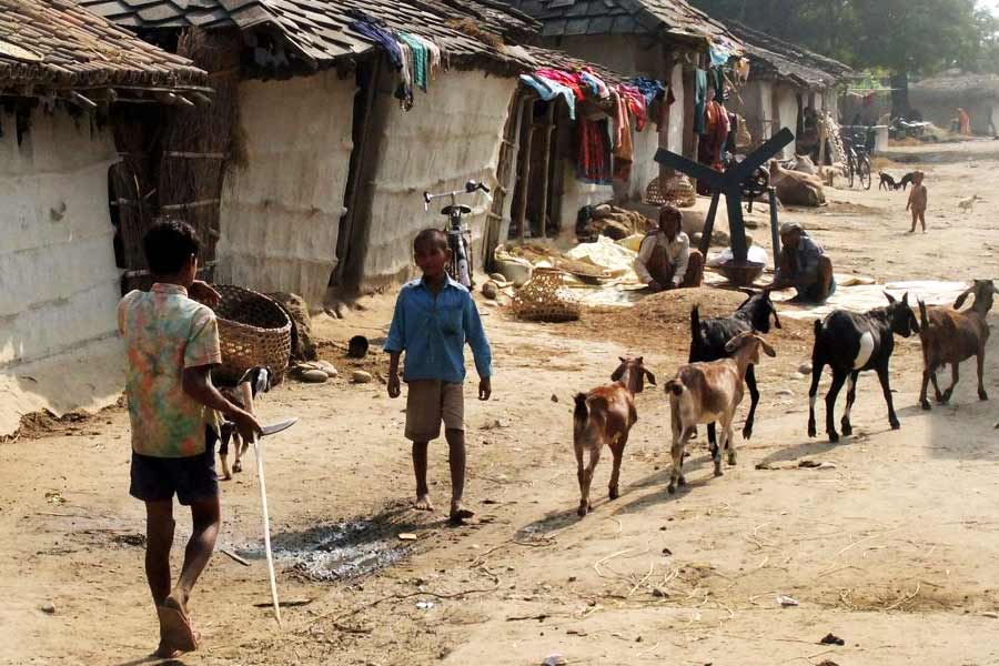 All you need to know about Patwatoli, IIT Village of India