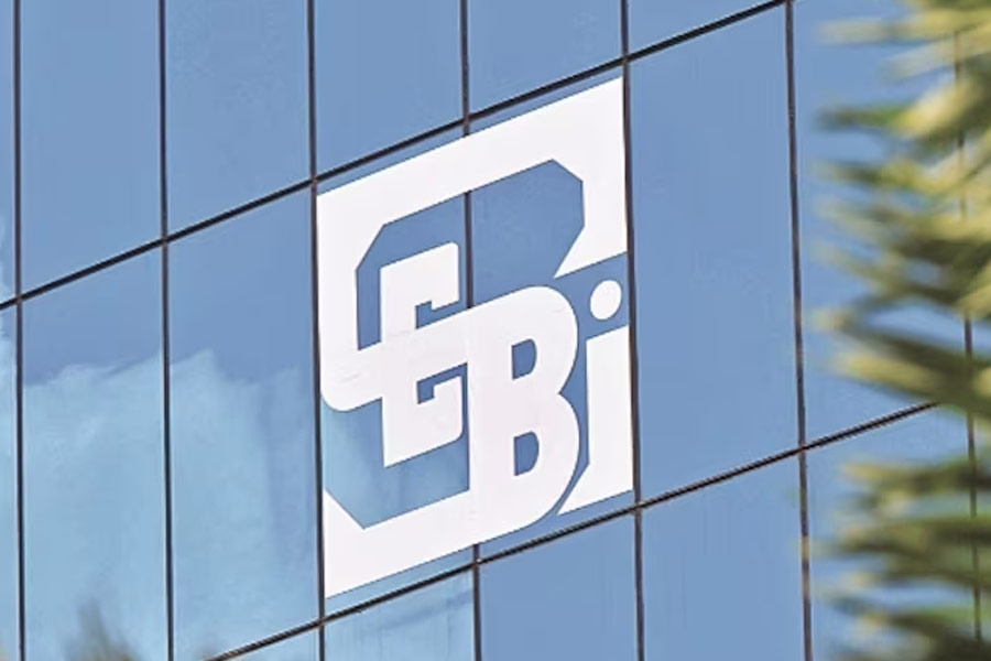 image of sebi 