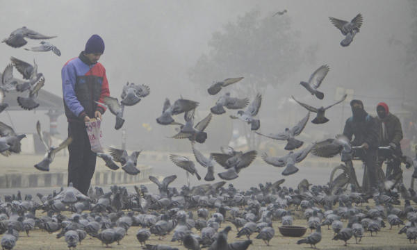 বিদায়বেলায় ওঠানামা করছে শীতের পারদ। কখনও তাপমাত্রা পৌঁছে যাচ্ছে ২০ ডিগ্রি সেলসিয়াসের উপরে। কখনও আবার অনুভূত হচ্ছে ১৪ ডিগ্রি সেলসিয়াসের ঠান্ডা।