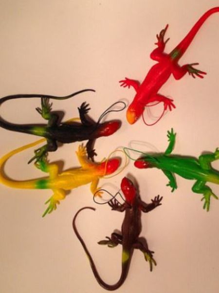 Follow this trick to get rid of lizards from your house dgtl