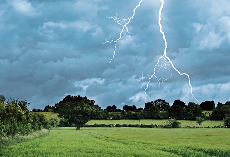 ফুটবলার এবং দর্শকদের সুরক্ষার কথা মাথায় রেখেই এমন সিদ্ধান্ত নেওয়া হয়েছিল বলে জানিয়েছিল নেদারল্যান্ডসের ফুটবল সংস্থা।