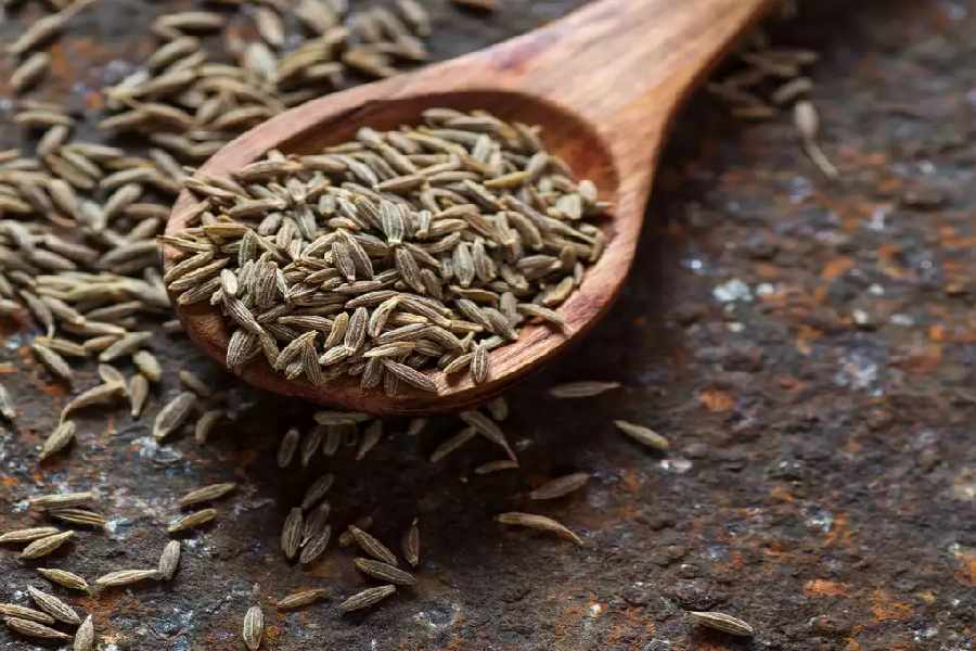 Five reasons to include cumin seeds in day to day cooking