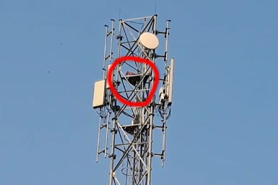 An image of the mobile tower