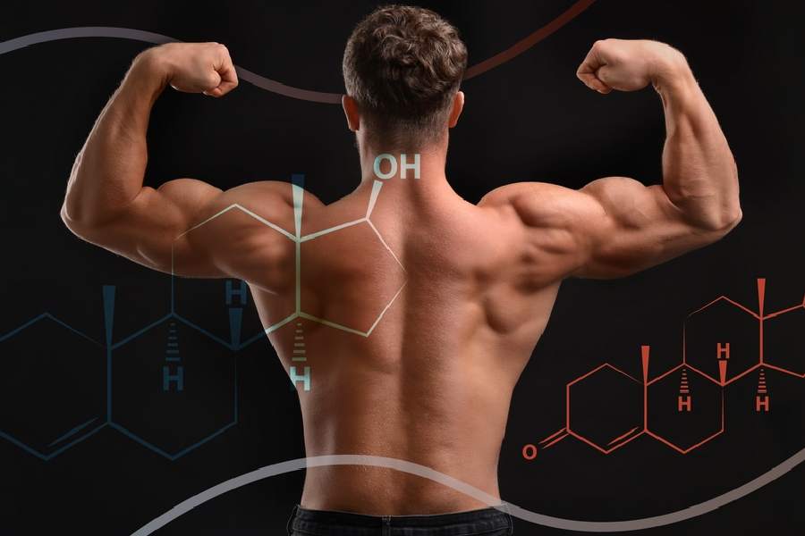 Five foods to naturally boost testosterone hormone levels