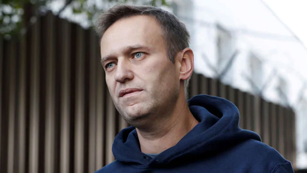 রুশ সংবাদপত্রটির প্রতিবেদনে একজন চিকিৎসককে উদ্ধৃত করে বলা হয়েছে, নাভালনির দেহ পরীক্ষা করে দেখা গিয়েছে, তাঁর মাথায় এবং বুকে কালশিটে রয়েছে।