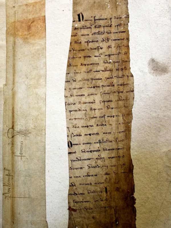 এইজ়নার এবং তাঁর গবেষক দল বিষয়টি নিয়ে অনুসন্ধান করতে গিয়ে ১৩৩২ সালের ২৯ জানুয়ারি তৎকালীন আর্চবিশপ অফ ক্যান্টারবেরি সাইমন মেথ্যামের লেখা একটি চিঠির সন্ধান পান। চিঠিটি আর্চবিশপ লিখেছিলেন উইনচেস্টারের বিশপের উদ্দেশে। এই চিঠিতেই এলা ফিৎজ়পাইনের উল্লেখ পাওয়া যায়।