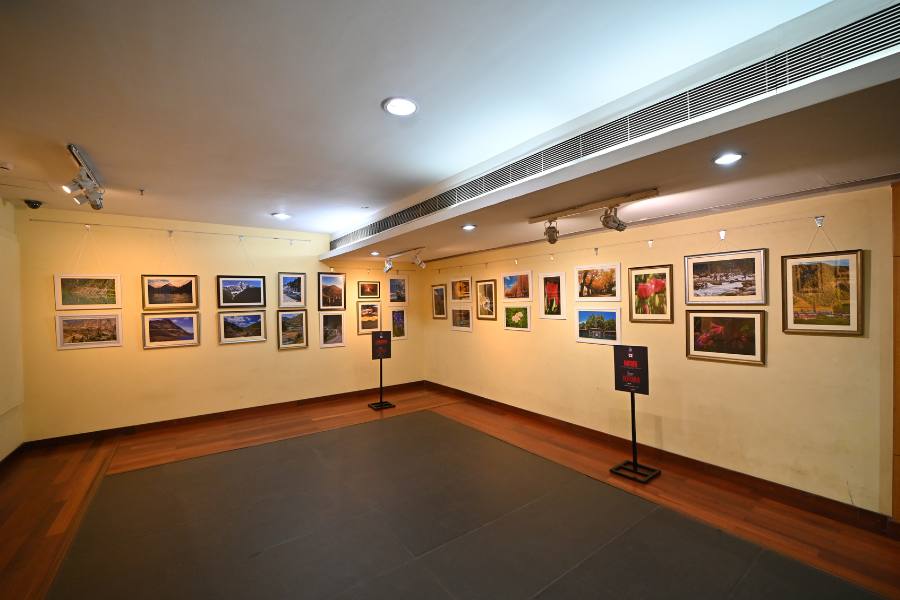 প্রদর্শনীর অংশ হিসাবে মানুষের ভাবাবেগ, পোর্ট্রেট থেকে ল্যান্ডস্কেপ, বন্যপ্রাণ কিংবা ফ্যাশন শ্যুট, নানা ধরনের ছবিতে সেজে উঠেছিল গ্যালারি। কোনও ছবির সৌন্দর্য লুকিয়েছিল তার গল্পে, কোনও ছবির পিছনে ছিল সামাজিক বার্তা।