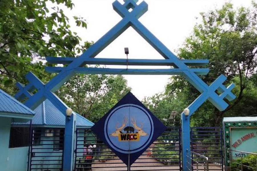সম্বলপুরের চিড়িয়াখানা।