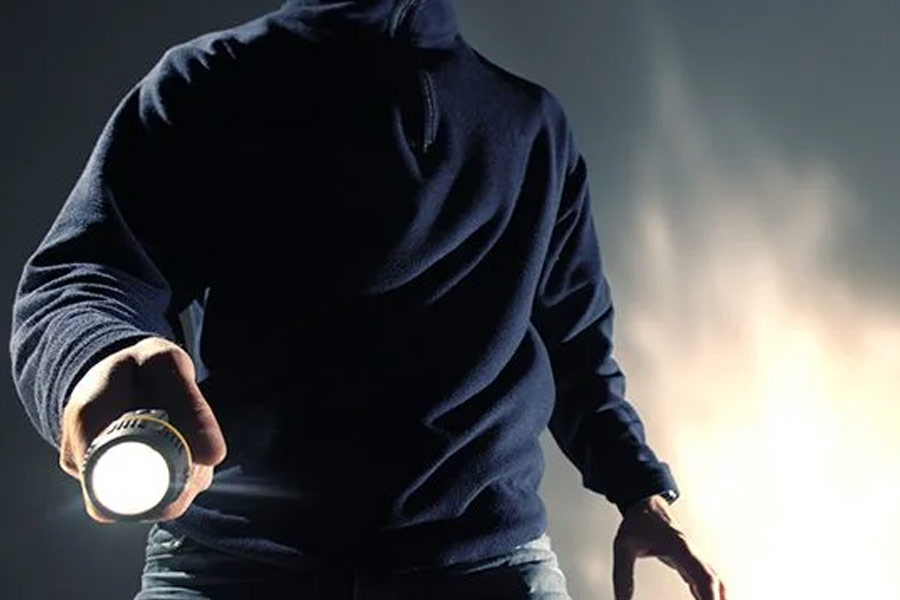 ধনীরাম শিক্ষিত চোর। আইনের স্নাতক তিনি। হাতের লেখা নিয়েও পড়াশোনা রয়েছে তাঁর। তবে কম বয়সে জীবিকা হিসাবে চুরিকেই বেছে নিয়েছিলেন তিনি।