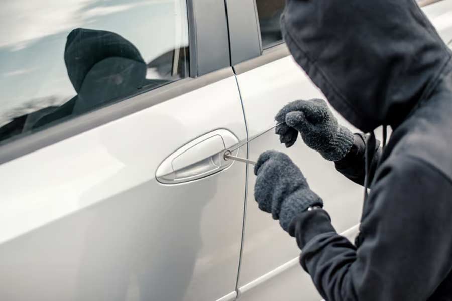 বহু দিন পুলিশের নজর বাঁচিয়ে চলার পর গত মঙ্গলবার দিল্লি পুলিশের হাতে গ্রেফতার হয়েছেন ধনীরাম। একটি চুরির গাড়ি বিক্রির সময় দিল্লির পশ্চিম বিহার এলাকা থেকে তাঁকে হাতেনাতে ধরে পুলিশ।