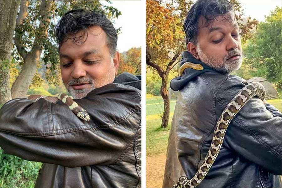 Rules and regulations you need to know if you want to keep python as pet like Tollywood director Srijit Mukherjee