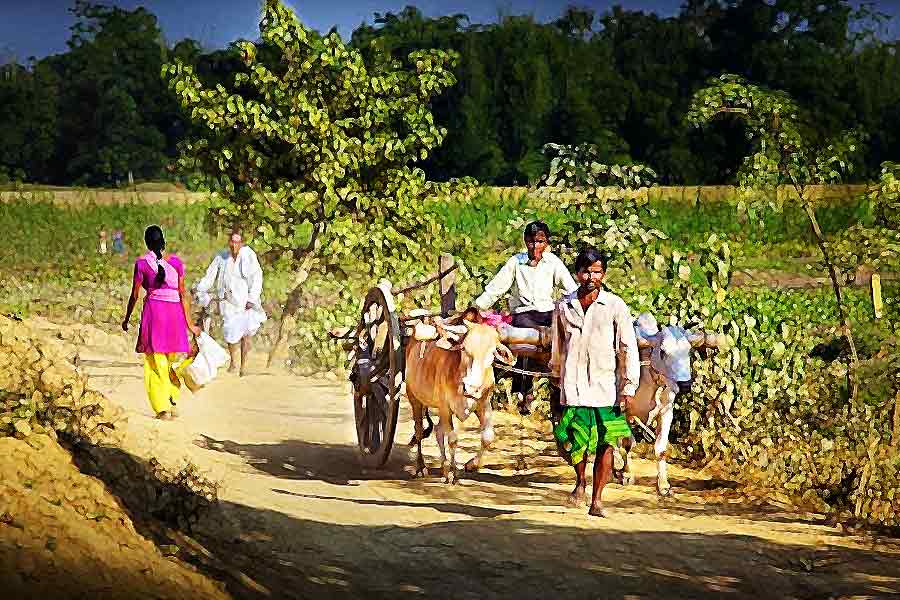 বার বার টিটুর সেই সব কথায় উদ্বিগ্ন হয়ে পড়ে মহাবীরের পরিবার। টিটুর কথা মতো আগরার সেই জায়গায় গিয়ে সুরেশ বর্মার খোঁজখবর করতে গিয়ে থ হয়ে যান টিটুর দাদা অশোক সিংহ!