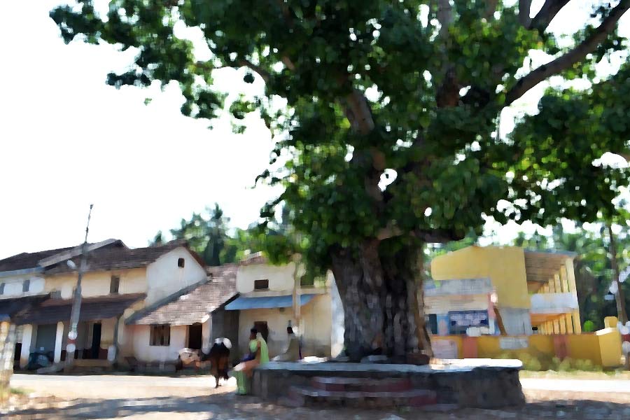 দেখেন টিটু যেমনটা বলেছিল, তেমনটা হুবহু মিলে যাচ্ছে। এমনকি, সুরেশের বাড়ির বাইরে যে গাছটি ছিল, তা-ও টিটুর বর্ণনার সঙ্গে নাকি মিলে যায়।