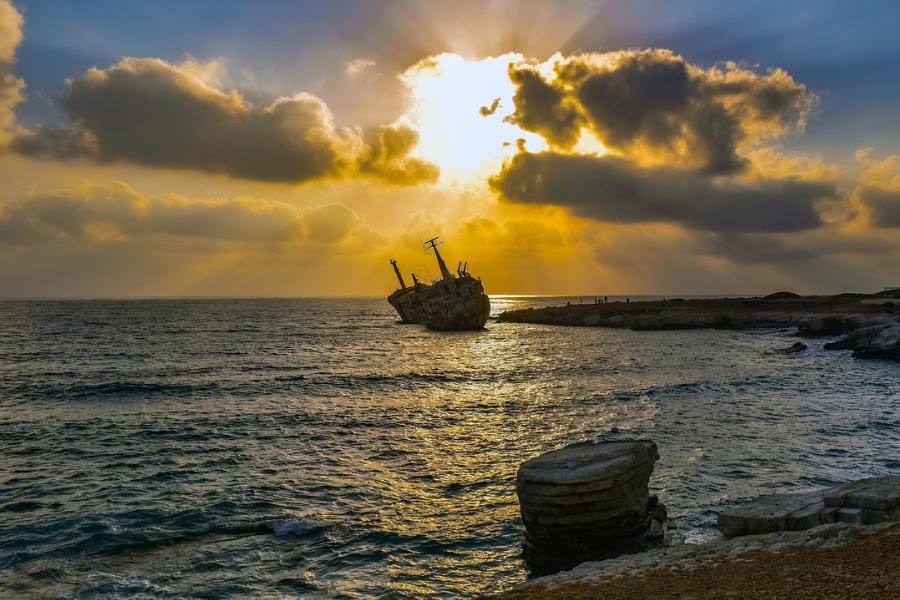 নিউ সাউথ ওয়েলসের পরিবেশ মন্ত্রী পেনি শেপ জানিয়েছেন, ৪০ জন শিশু ওই দুর্ঘটনায় তাঁদের বাবা-মাকে হারিয়েছে। 