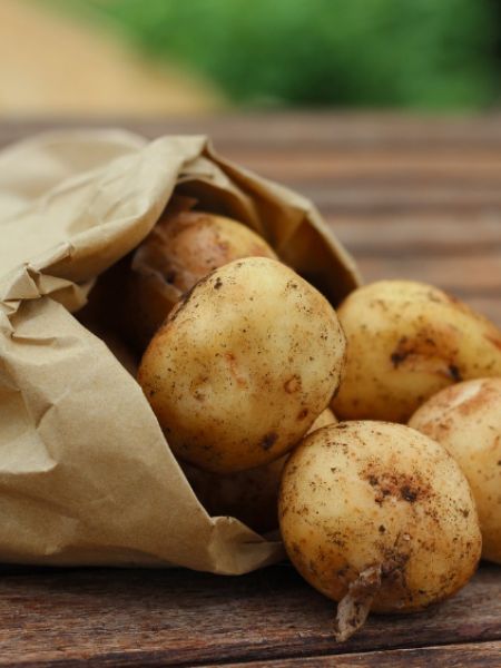 know how to store potatoes for long time dgtl